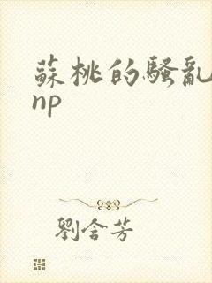 苏桃的骚乱文肉np