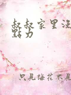 叔叔家里没人用点力