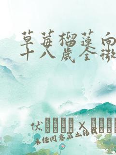 草莓榴莲向日葵十八岁全微糖