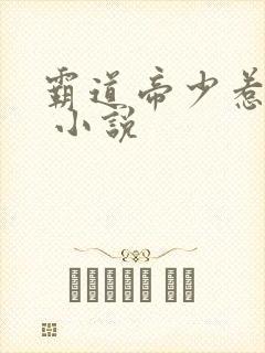 霸道帝少惹不得 小说