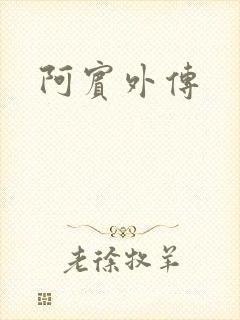 阿宾外传
