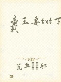 帝王妻txt下载