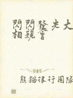 闪闪发光大团圆相亲会