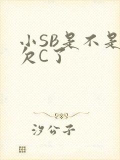 小SB是不是又欠C了