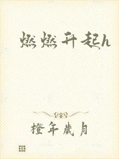 燃燃升起h
