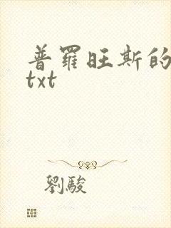 普罗旺斯的一年txt