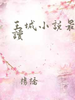 王城小说最近阅读