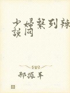 少妇系列辣文小说网