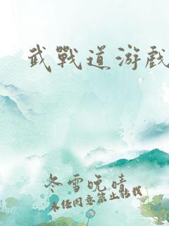 武战道游戏