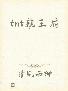 tnt亲王府