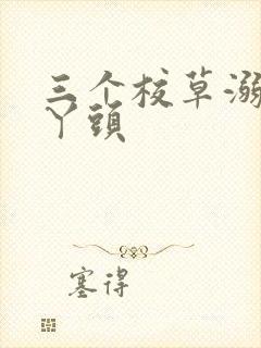三个校草溺爱拽丫头