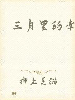 三月里的幸福饼