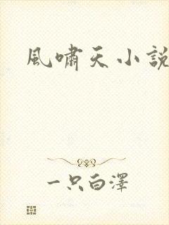 风啸天小说