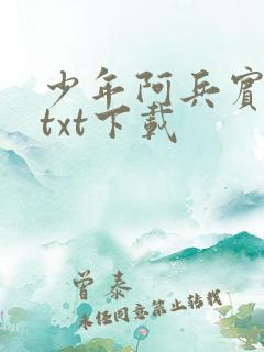 少年阿兵宾小说txt下载