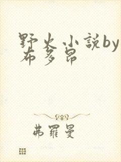 野火小说by夏布多昂