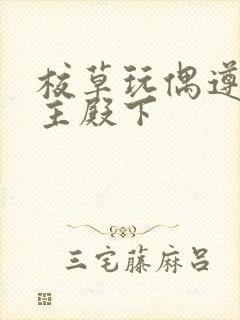 校草玩偶遵命公主殿下