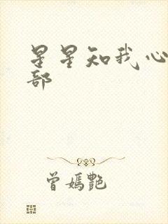 星星知我心第二部