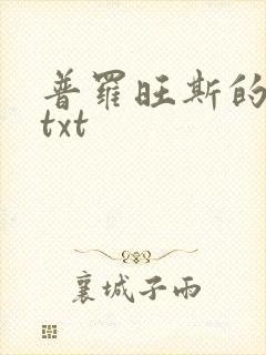 普罗旺斯的一年txt