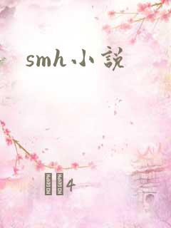 smh小说