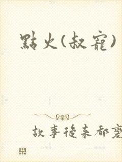 点火(叔宠)