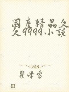 国产精品久久久久9999小说