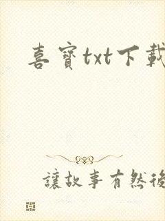 喜宝txt下载