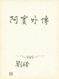 阿宾外传