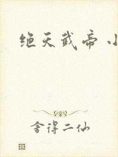 绝天武帝 小说