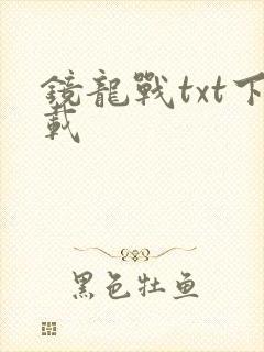 镜龙战txt下载