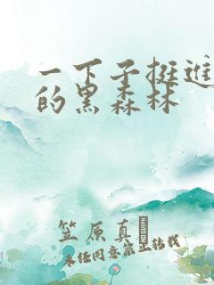 一下子挺进浓密的黑森林