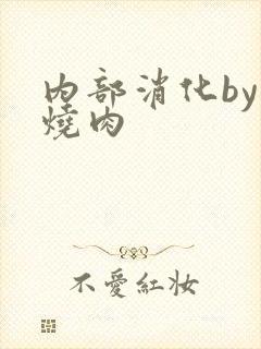 内部消化by红烧肉