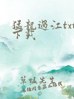 猛龙过江txt下载