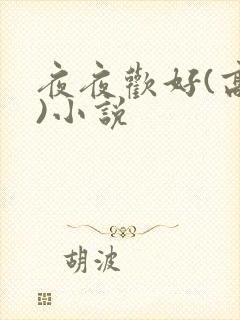 夜夜欢好(高h)小说