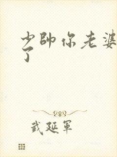 少帅你老婆又跑了