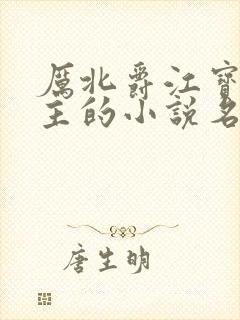 厉北爵江宝宝男主的小说名字