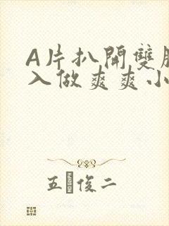 A片扒开双腿进入做爽爽小说