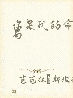 你是我的命运结局