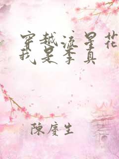 穿越流星花园之我是李真