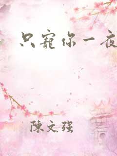 只宠你一夜