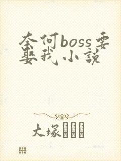 奈何boss要娶我小说