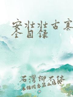 安壮壮古寨情缘全目录