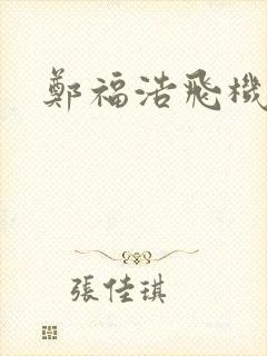 郑福浩飞机坠海