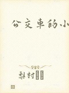 公交车的小说