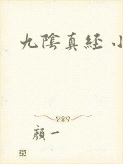 九阴真经 小说