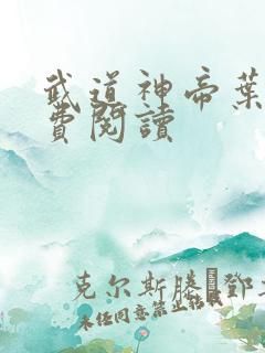 武道神帝叶辰免费阅读