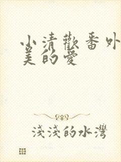 小清欢番外篇完美的爱