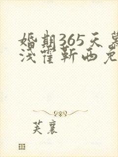 婚期365天慕浅霍靳西免费阅读