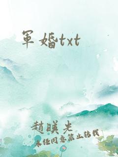 军婚txt