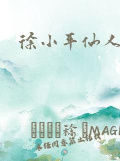 徐小平仙人指路