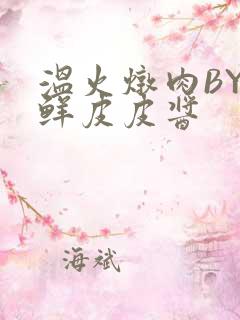 温火炖肉BY海鲜皮皮酱